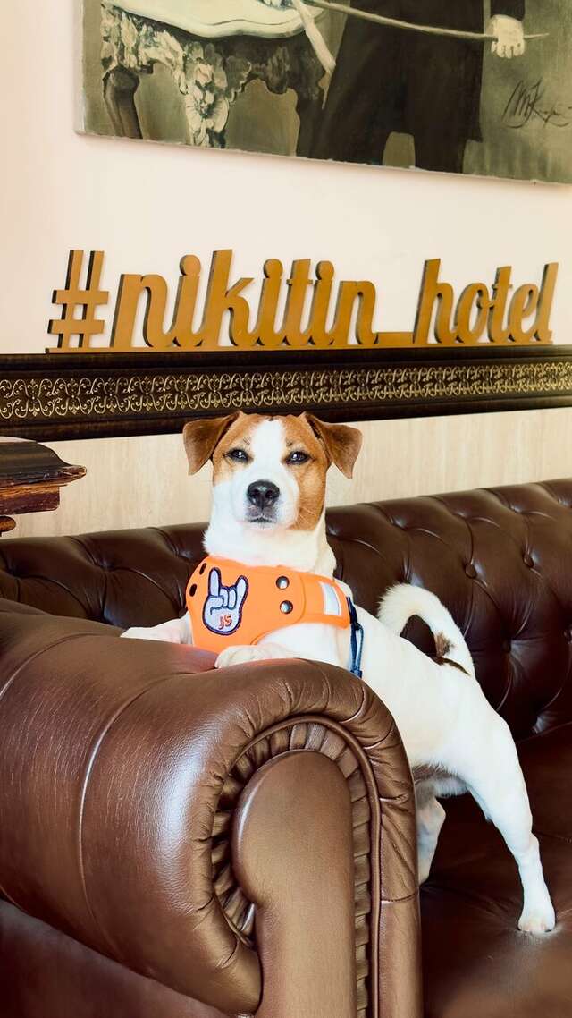 Гостиница Никитин Нижний Новгород-139