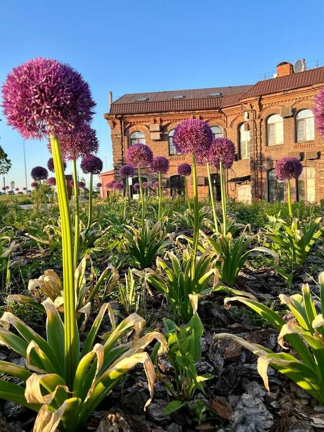 Гостиница Никитин Нижний Новгород-42