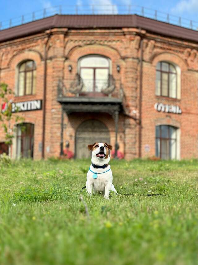 Гостиница Никитин Нижний Новгород-39