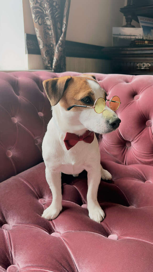 Гостиница Никитин Нижний Новгород-181